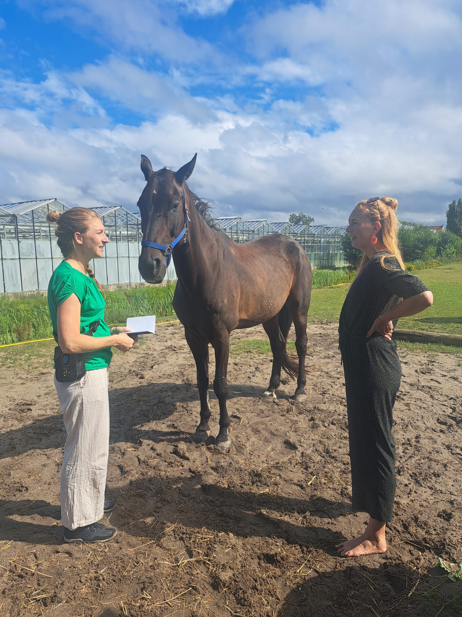EFT en trauma bij paard en ruiter, het eerste gesprek