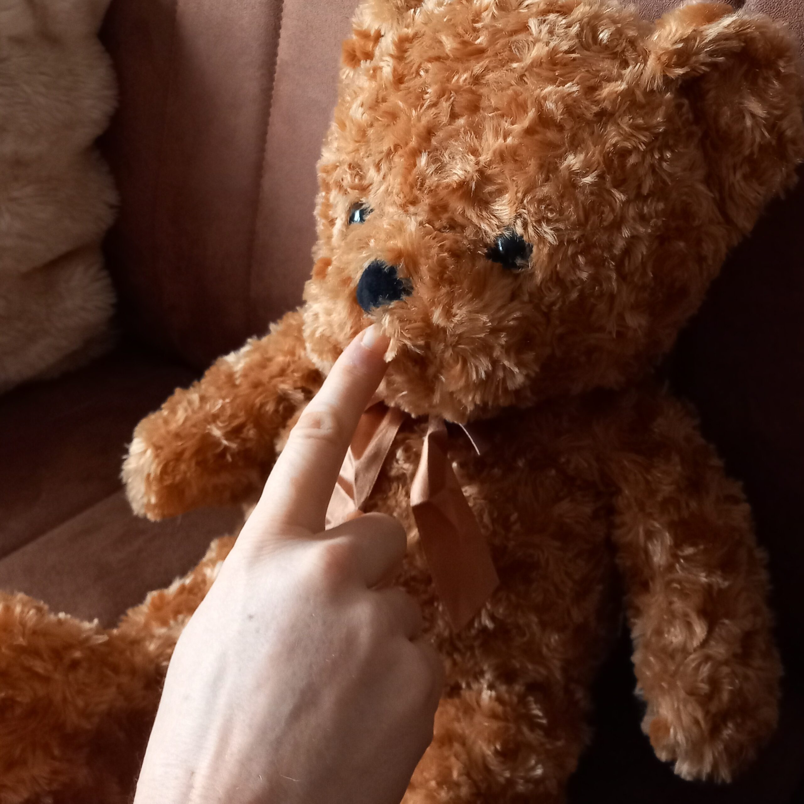 EFT-tapping op het kloppunt onder de neus op de Teppiebear